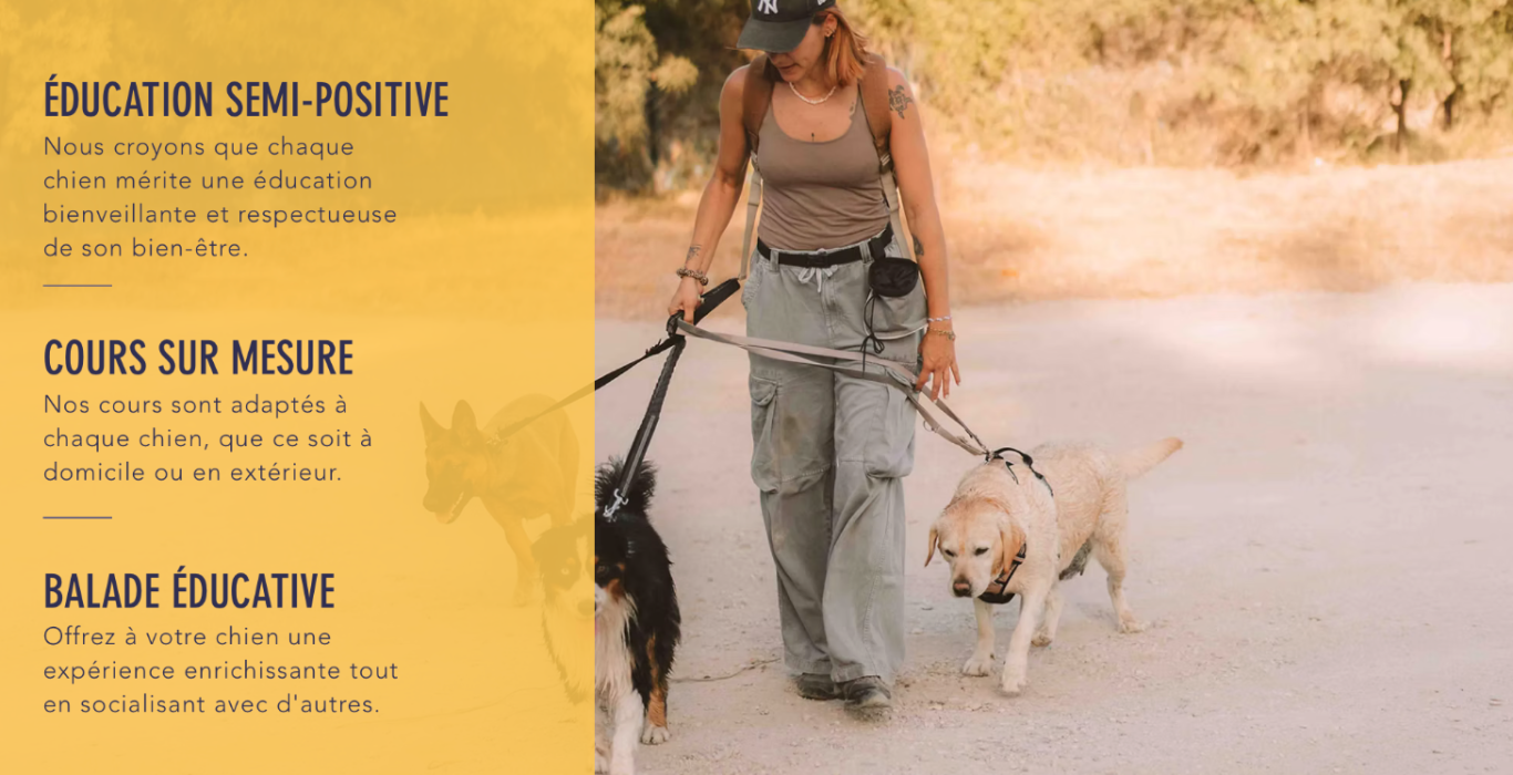 education canine - educateur canin Toulon - éducation canine positive education canine - educateur canin Toulon - éducation canine positive