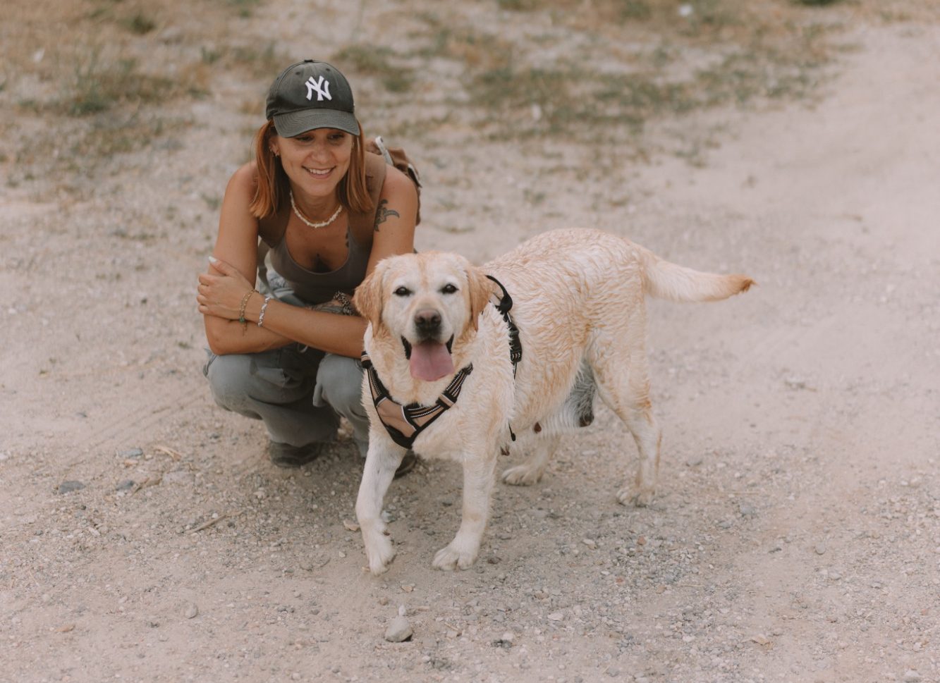 education canine - educateur canin Toulon - éducation canine positive education canine - educateur canin Toulon - éducation canine positive