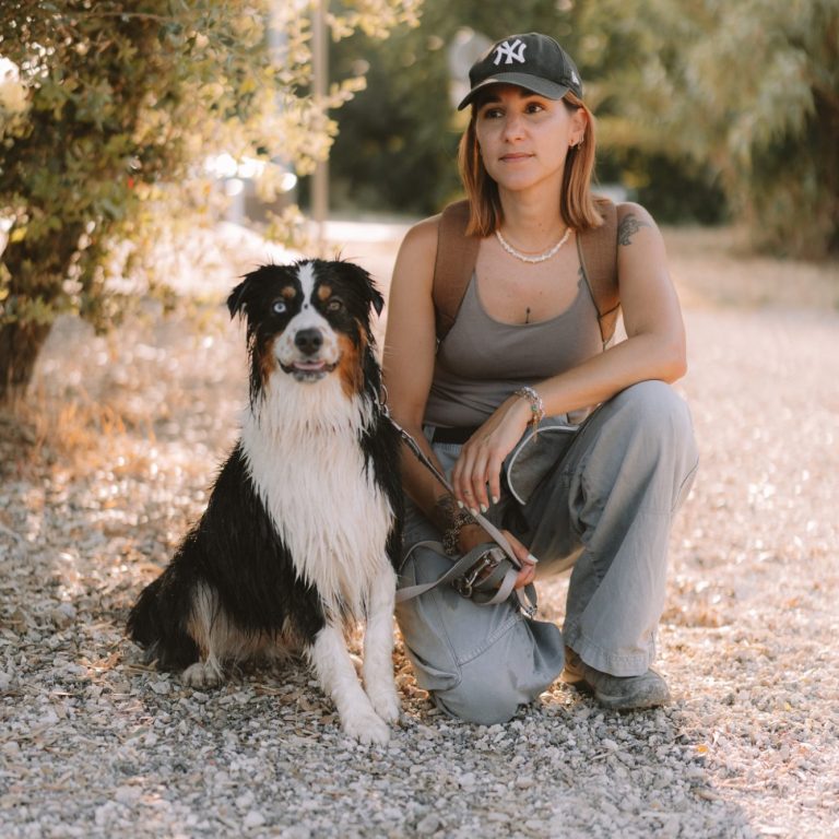 education canine - educateur canin Toulon - éducation canine positive education canine - educateur canin Toulon - éducation canine positive
